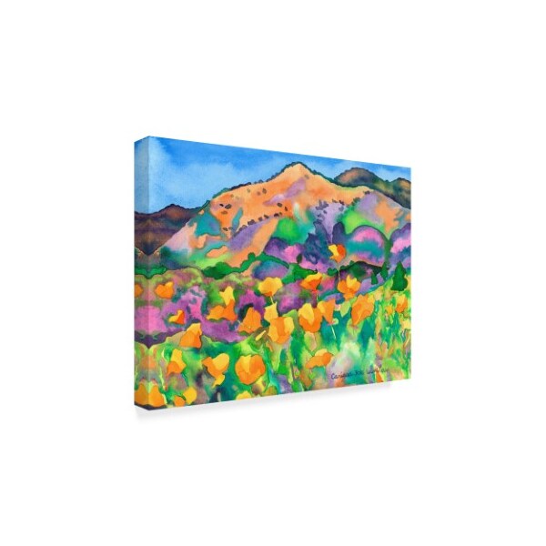 Carissa Luminess 'Poppy Hills' Canvas Art,18x24